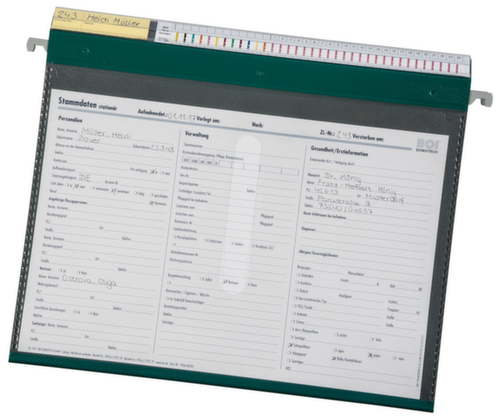 Eichner_BOI Pflegemappe PMH2R zum Einhängen, grün