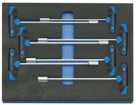 2005 CT2-2133 T Steckschlüssel-Satz in Check-Tool-Modul