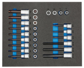 TS CT2-ITX19 Satz Schraubendrehereinsätze 1/2" in 2/4 Check-Tool-Modul