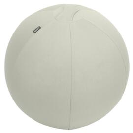 Leitz Sitzball Active