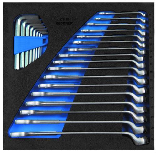 GEDORE 1500 CT2-1 B Ring-Maulschlüssel-Satz in Check-Tool-Modul